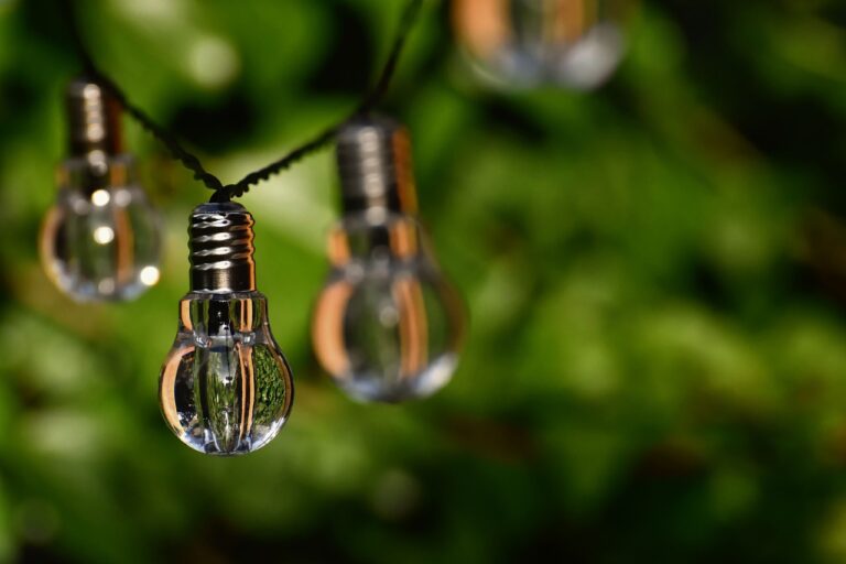 Energy-efficient lightbulbs hanging from the tree