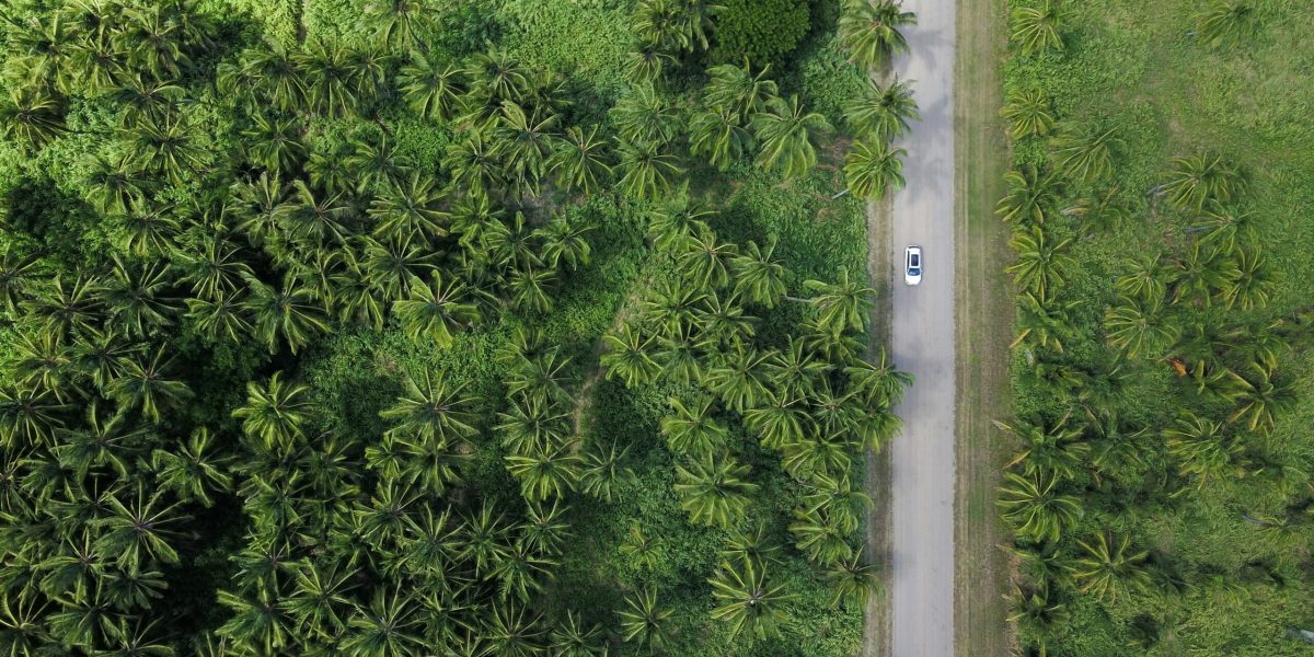 A road with a single car near the trees